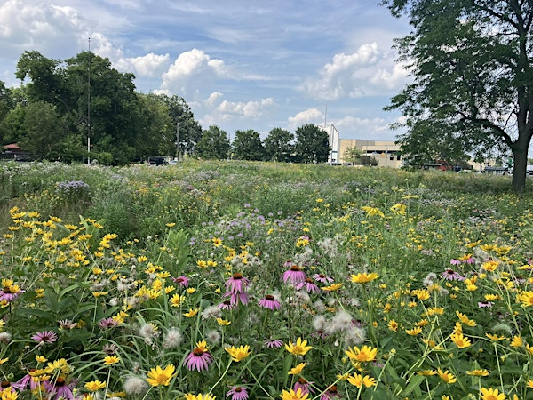 Palmer Park Summer Nature Walk | Detroit Exploration & Nature Center, West Seven Mile Road, Palmer Park, Detroit, MI, USA