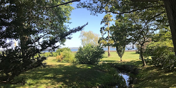 Arboretum Tour: Stonybrook | Stonybrook Arboretum