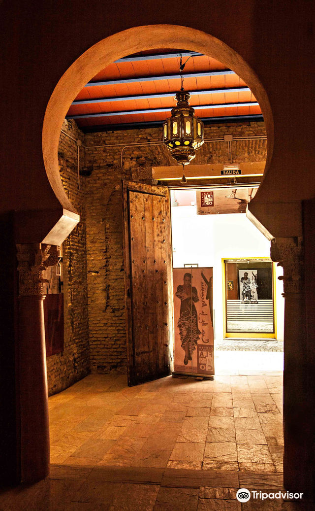 《記憶中的房子》演出 | C. Cuna, 6, 41004 Sevilla, 西班牙