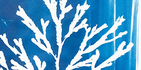 Cyanotype Workshop | The Art Room