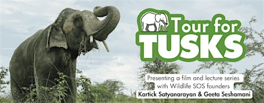 Tour for Tusks: Jacksonville, Florida | MOCA (Museum Of Contemporary Art), Jacksonville