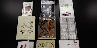 Invasive Ant Bootcamp 2026 | Entomology & Nematology Department