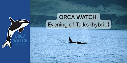 Orca Watch 2026 Evening of Talks (hybrid) | Lyth Arts Centre