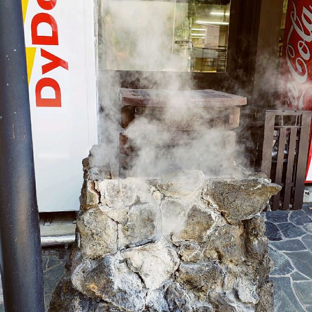 【伊豆長岡】黒柳