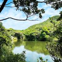 基隆之美-情人湖公園、環湖步道和美麗的吊橋！