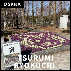 【花博記念公園 鶴見緑地】干支花壇 🐯