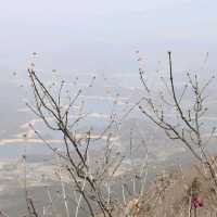 등산코스 추천 '황매산'