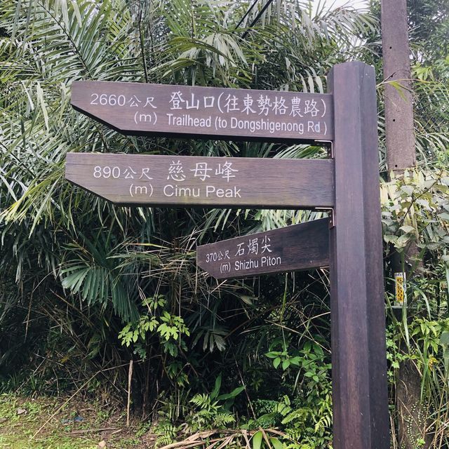 Xiaozishan Trail 孝子山步道🐾爬爬山呼吸新鮮空氣🌳新北平溪