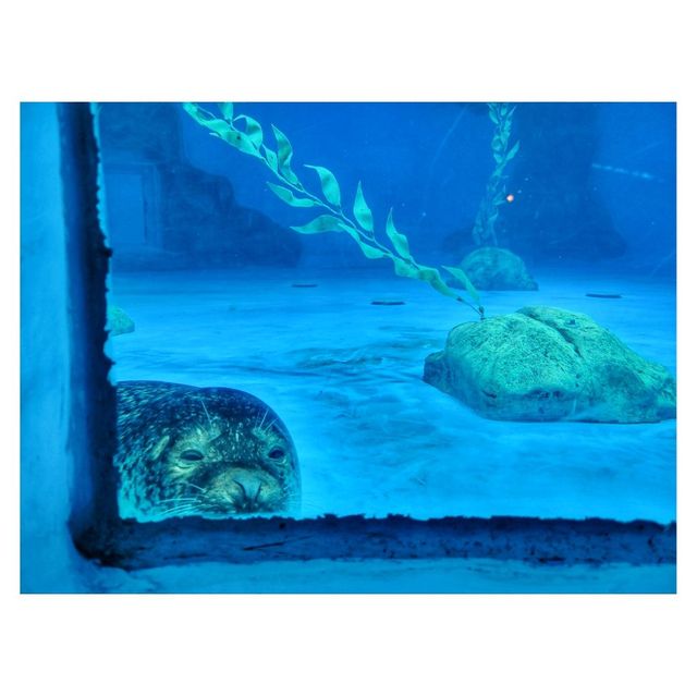 生日親親動物遊。海洋公園