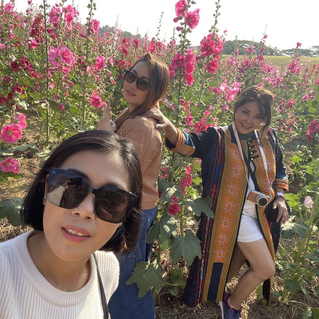 สิงห์ปาร์ค เที่ยวหน้าหนาวจะผิดหวังได้ไง สวยมาก