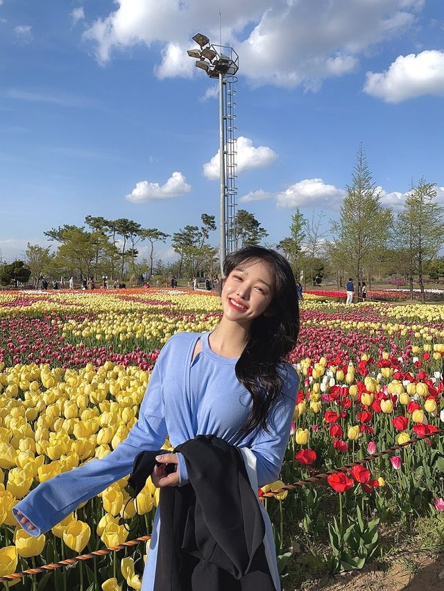 튤립이 정말 예쁜 청주 문암생태공원🌷