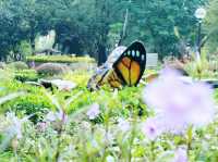 荔枝角公園