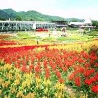 8 things You must Do & See in Khao Yai