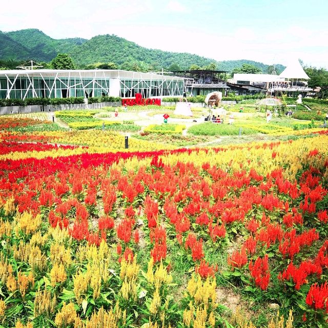 8 things You must Do & See in Khao Yai
