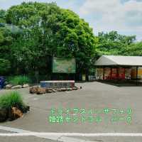 すぐ近くに野生動物！ドライブスルーサファリ　姫路セントラル・パーク