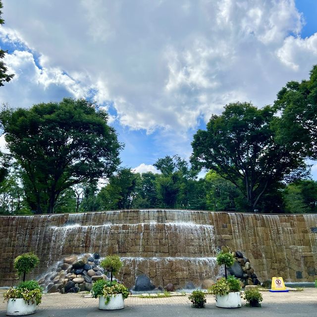 【新宿中央公園〜都会に広がる緑のオアシス〜】