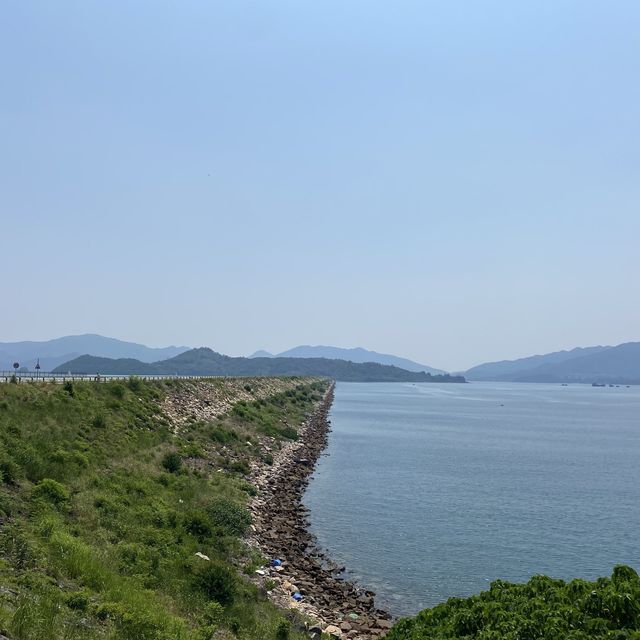 🚲 綠意單車之旅 — 大美督