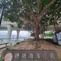 觀塘海濱花園