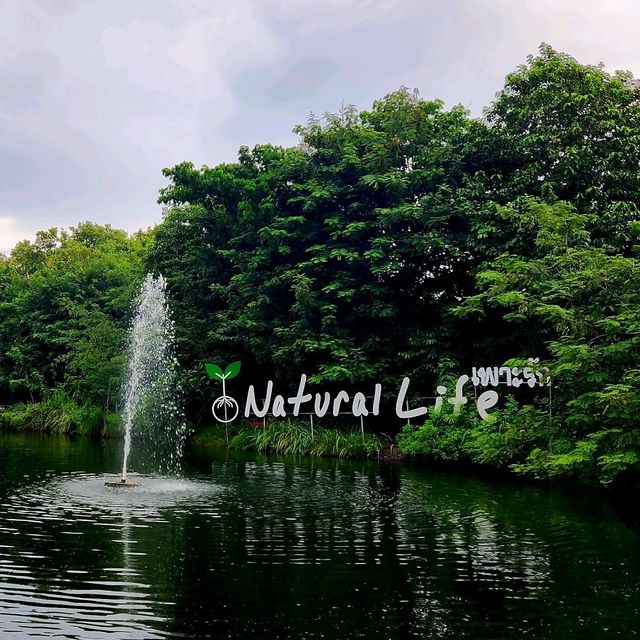 Natural Life เพาะรัก