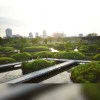 สวนป่า กลางกรุง