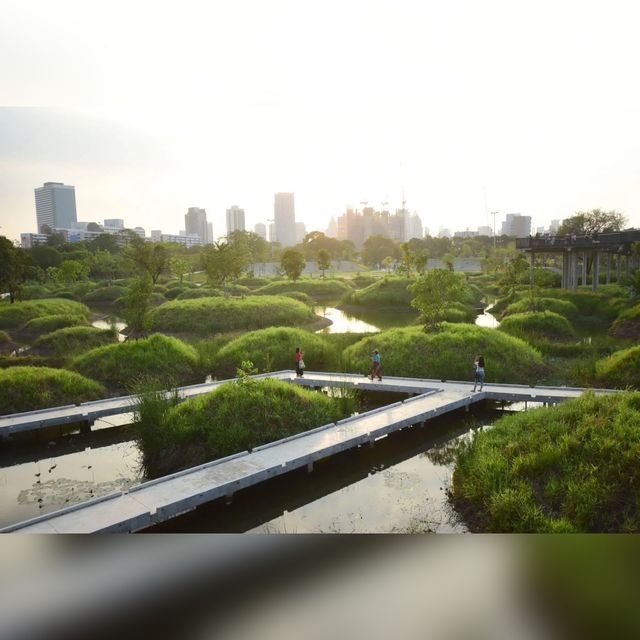สวนป่า กลางกรุง