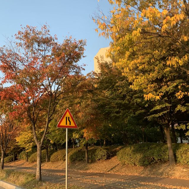 가을에 방문하기 딱 좋은 아산 곡교천