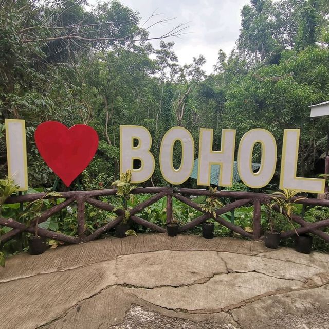 I've found my happiness, Welcome to Bohol! 