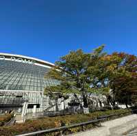 東京ドーム周辺の紅葉