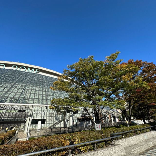 東京ドーム周辺の紅葉