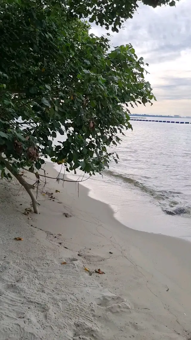 Sea View at Punggol Beach