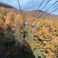 苗場はもう晩秋🍁日本最長ゴンドラ