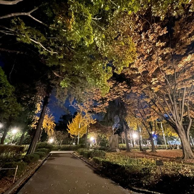 서울 도산공원