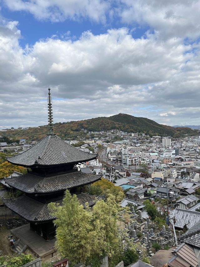 尾道✨千光寺　