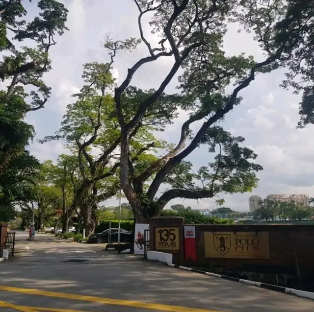 A hike loop from macritchie