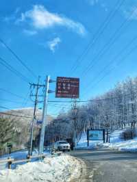 차타고 해발1330m 만항재를 즐기는 눈꽃여행❄️🤍