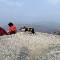 Highest point of Seoul