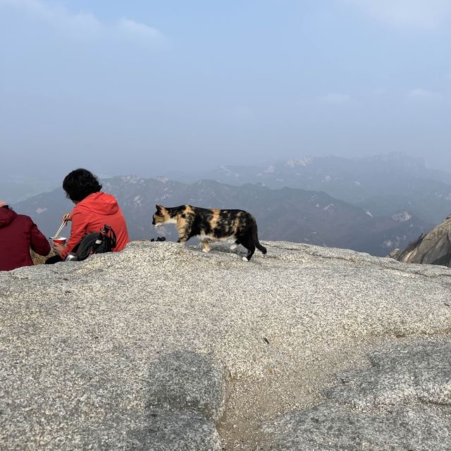 Highest point of Seoul