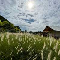 Mont Blanc Glamping Khao Yai 