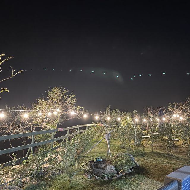 핑크뮬리 보러 제주도!!