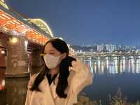 서울 야경 명소 :: 노들섬🌉
