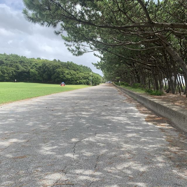 【千葉県】稲毛海浜公園