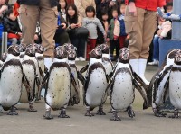 三重県【鳥羽水族館】