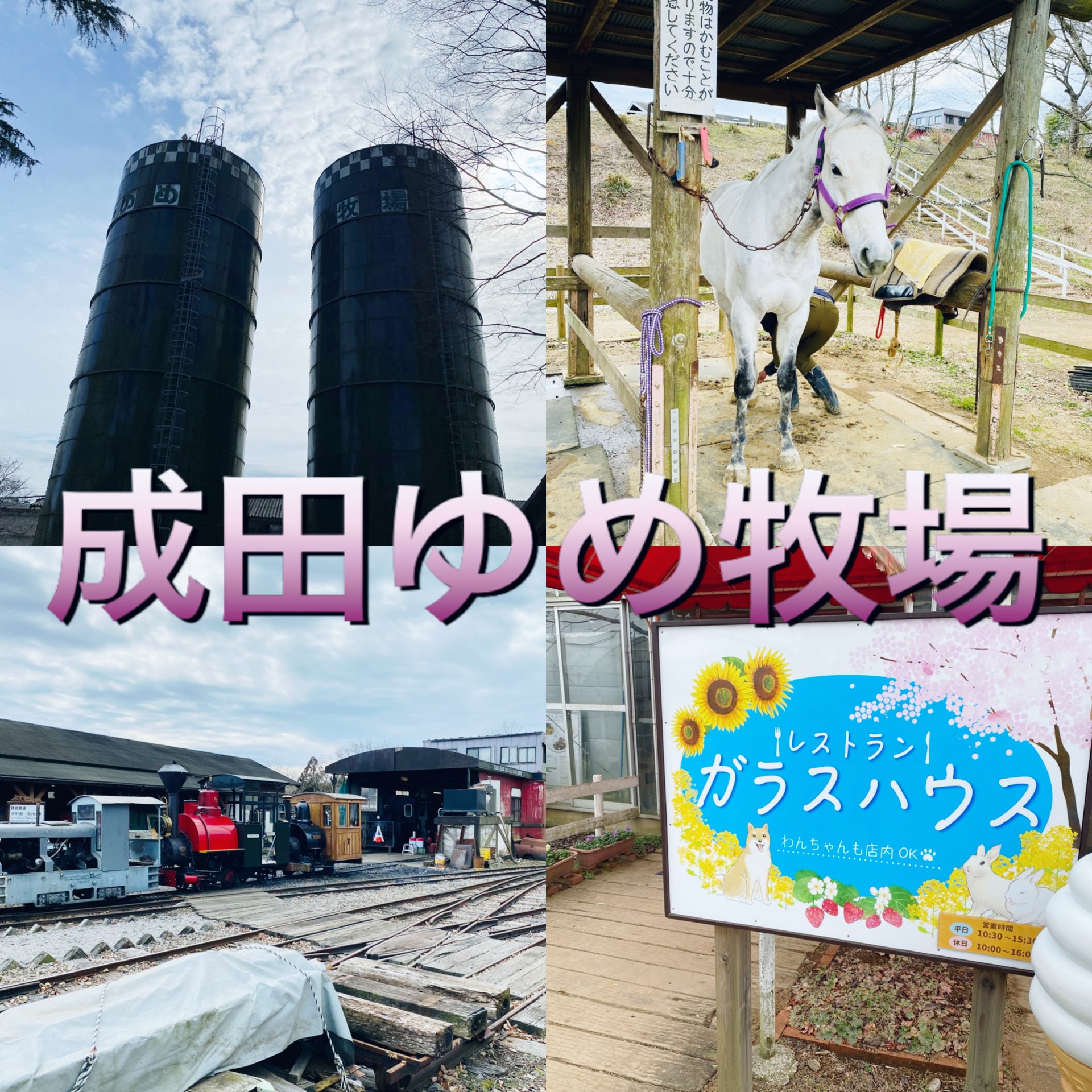 成田ゆめ牧場のレビュー 成田ゆめ牧場のチケット 成田ゆめ牧場の割引 成田ゆめ牧場の交通機関 所在地 営業時間 成田ゆめ牧場周辺の観光スポット ホテル グルメ Trip Com