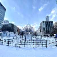 真冬の札幌大通公園