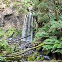 Beauchamp Falls & Hopetoun Falls