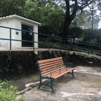 九龍市中心嘅行山徑