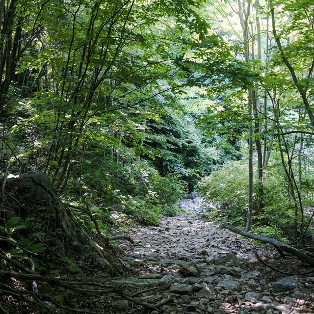 민주지산 등산