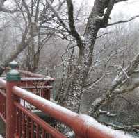 風雪中帶淒美的中襌寺湖