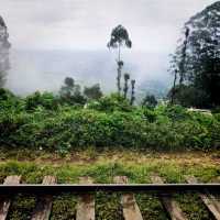 A Breathtaking Scenic Train Ride