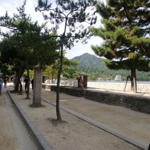 【宮島】海沿い散歩👣が気持ちいい✨😆「宮島」